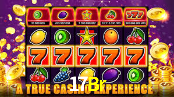 Premium Interface 17Br